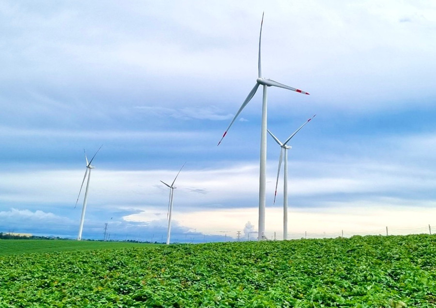Trang trại Phong điện HBRE Chư Prông có công suất 50 MW, gồm 12 tua-bin gió. Ảnh: Vũ Thảo trang-trai-phong-dien-hbre-chu-prong-co-cong-suat-50-mw-gom-12-tua-bin-gio-anh-vt.jpg