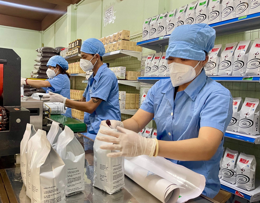 Tỷ lệ cà phê chế biến từ nguồn nguyên liệu trên địa bàn tỉnh đạt khoảng 23%. Ảnh: V.T anh-vt.jpg