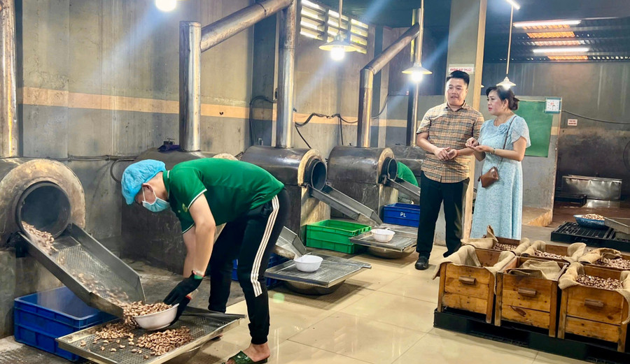 Hạt điều Hải Bình Gia Lai là một trong những sản phẩm mang đậm bản sắc bản địa. Ảnh: Vũ Thảo 222.jpg