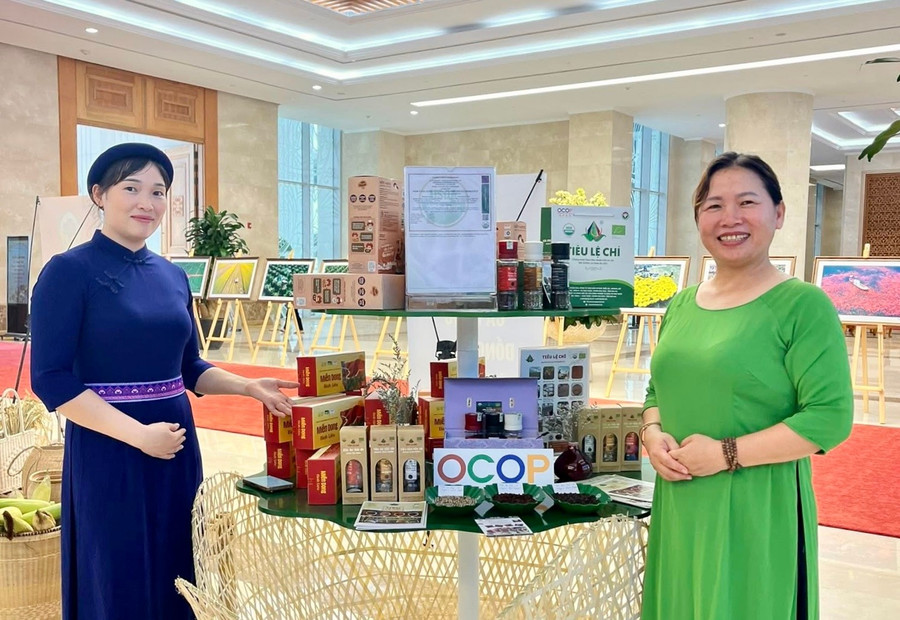 Các sản phẩm OCOP 5 sao của Hợp tác xã Nông nghiệp và Dịch vụ Nam Yang (huyện Đak Đoa) trưng bày tại một Hội nghị về xây dựng nông thôn mới tổ chức ở Hà Nội. Ảnh: ĐVCC anh-dvcc.jpg