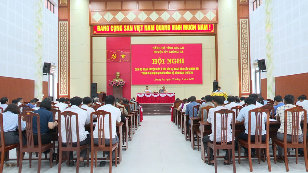 Quang cảnh hội nghị. Ảnh: Đức Mạo img-20250311-150516.jpg