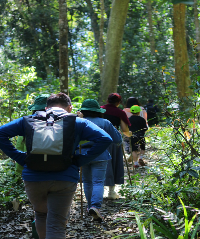 Hành trình trekking xuyên qua cánh rừng với những cây to và mát. Ảnh: Lâm Đại Ngàn picture1png1.png