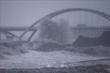 Trung Quốc: Hủy 60% số chuyến bay tại Thượng Hải do ảnh hưởng bão Dolphin