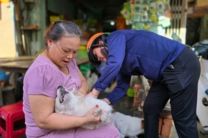 Đến nay, tỷ lệ chó, mèo nuôi trên địa bàn TP. Pleiku đã được tiêm vắc xin phòng Dại đạt trên 33%. Ảnh: Hồng Thương