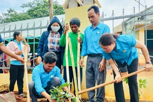 Hội Liên hiệp phụ nữ xã Kon Thụp triển khai "Công trình cây xanh" tại làng Dơ Nâu để góp phần tăng lượng cây xanh trồng trên địa bàn. Ảnh: Người dân cung cấp.