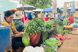 Độc đáo chợ chiều Pleiku