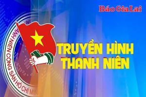 Chuyên mục Thanh niên 8-6-2025