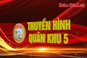 Chuyên mục Quân khu 5 15-6-2025