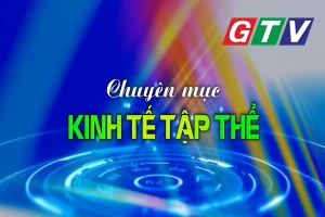 Chuyên mục Kinh tế tập thể 17-6-2025