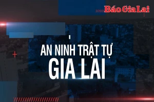 Bản tin An ninh trật tự Gia Lai 14-6-2025