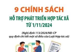 9 chính sách hỗ trợ phát triển hợp tác xã từ 1/11/2024