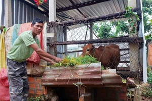 Hỗ trợ phát triển sản xuất: Đòn bẩy thoát nghèo bền vững