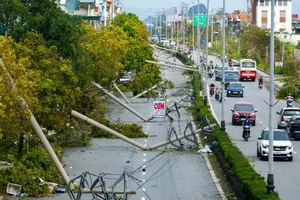 Tái thiết sau bão Yagi - Kỳ I: Quảng Ninh tan hoang