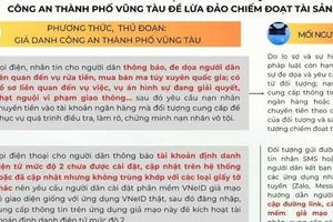 2 người ở TP Vũng Tàu bị lừa hơn 10 tỉ đồng