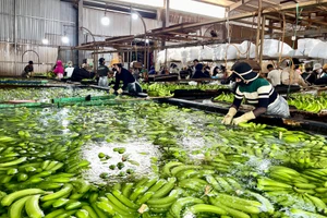 Công bố 7 thủ tục hành chính trong lĩnh vực an toàn, vệ sinh lao động