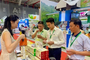 Gia Lai có 8 doanh nghiệp tham gia Vietnam Foodexpo 2024