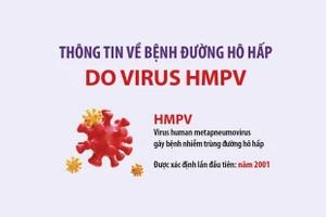 Thông tin mới nhất về bệnh đường hô hấp do virus HMPV