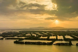 Những tuyệt tác thiên nhiên: Đầm Thị Nại - báu vật của Bình Định