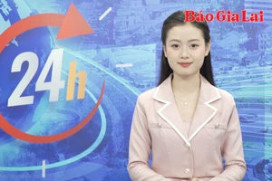 Gia Lai 24h: Khẩn trương điều tra hơn 700 cây cao su, điều bị cháy ở Ia Nan