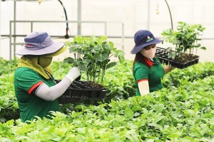 Tạo lập môi trường kinh doanh bình đẳng cho kinh tế tư nhân