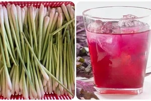 Uống nước tía tô với sả có tác dụng gì?