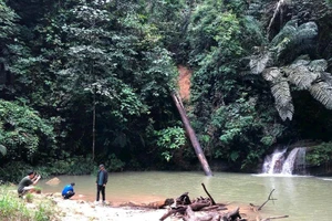 “Viên ngọc xanh” Labi