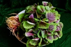 Tác dụng ít người biết của rau dền