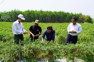 Quyết tâm mới ở những địa phương sáp nhập: Bắt tay hành động từ ngày đầu, tháng đầu