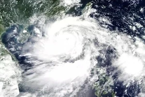 Năm 2025 có bao nhiêu cơn bão đổ bộ vào Việt Nam?