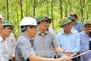 Bí thư, Chủ tịch tỉnh Bình Định khảo sát tiềm năng núi Vũng Chua