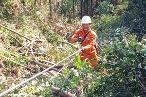 Nguyễn Văn Thiên: Gương sáng ngành Điện lực