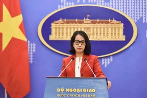 Người phát ngôn lên tiếng về việc Mỹ sẽ áp thuế cao với pin năng lượng mặt trời của Việt Nam