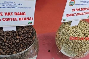Giá cà phê hôm nay 24-4: Bất ngờ tăng mạnh