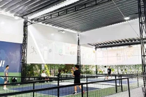 Ô nhiễm tiếng ồn từ sân pickleball