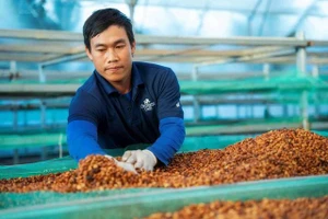 Giá cà phê hôm nay 28-4: 'Vua xuất khẩu' tiết lộ bất ngờ về tồn kho