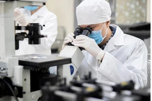 Chính phủ quy định chế độ, chính sách đối với chuyên gia cao cấp