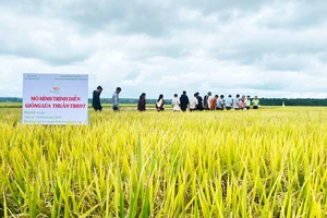 Chuyển giao tiến bộ khoa học kỹ thuật trong nông nghiệp “Chìa khóa” phát triển bền vững