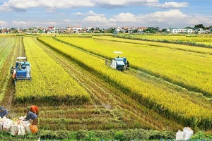 Bộ Tài chính đề xuất miễn, giảm tiền thuê đất cho dự án nông nghiệp