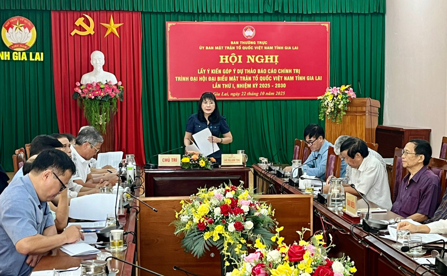 Konferenz zur Abgabe von Kommentaren zum Entwurf des politischen Berichts, der dem 1. Provinzkongress der Vietnamesischen Vaterländischen Front vorgelegt werden soll. Foto: Bao Long z7142434877447-429f98411e0b7771e449178847b8ae27.jpg