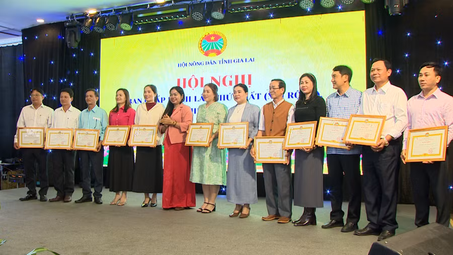 ban-chap-hanh-hoi-nong-dan-tinh-tang-bang-khen-cho-cac-tap-the-hoan-thanh-xuat-sac-nhiem-vu-nam-2025.jpg
