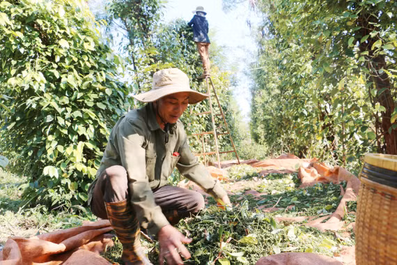 KỲ 1: Dấu ấn lãnh đạo của Đảng trong những ngày đầu vỡ đất