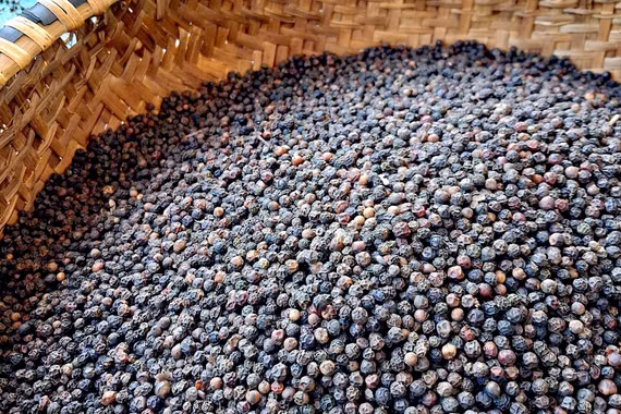 Kim ngạch xuất khẩu hồ tiêu quý I/2026 tăng hơn 30%