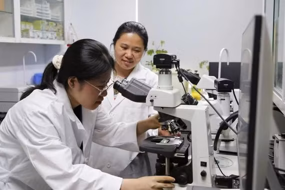 Bộ GD&ĐT đề xuất chính sách học bổng cho 15 nhóm ngành khoa học, kỹ thuật then chốt