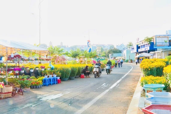 Phường Pleiku triển khai Chợ hoa Tết Nguyên đán Bính Ngọ 2026