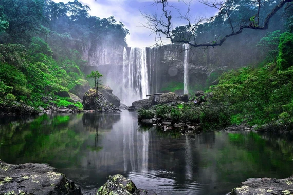 Ðịnh hướng bảo tồn và phát triển bền vững Kon Hà Nừng