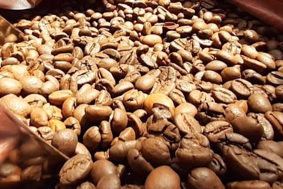 Hồ tiêu giảm giá tuần thứ 3 liên tiếp, cà phê giữ mức ổn định