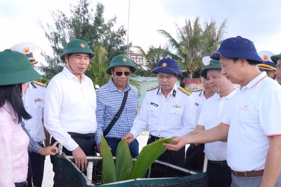 Từ Tiên Nữ đến Núi Le C: Khát vọng xanh giữa trùng khơi