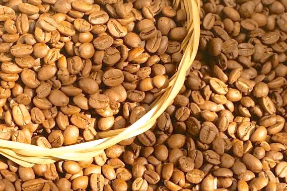 Ngày 7-6, cà phê giảm thêm 600 đồng/kg