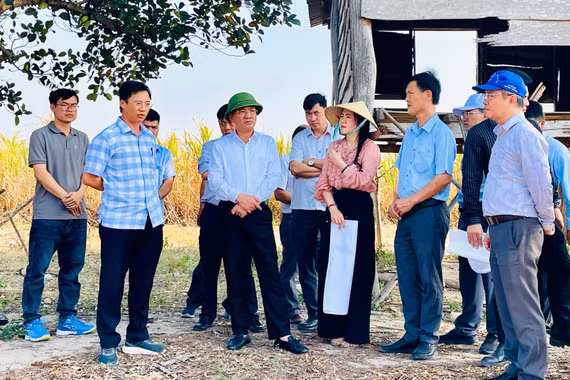 Chủ tịch UBND tỉnh Phạm Anh Tuấn kiểm tra các dự án nông nghiệp, sản xuất thức ăn chăn nuôi