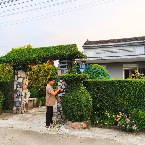 Hàng rào xanh: Nét duyên riêng của làng du lịch Thuận Nghĩa